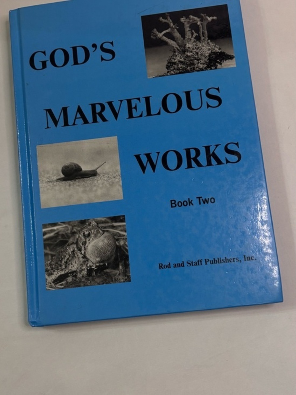 God's Marvelous Works Book Two - Blue Hardcover